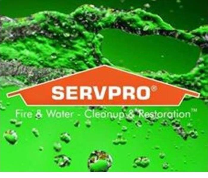 SERVPRO® of Hancock County is here to assist 24/7 with your mitigation needs.